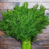 Салют насіння кропу (Традиція)  3г - Зображення 2