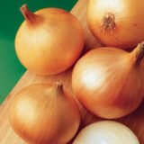 Халцедон насіння цибулі (Традиція) 1 г - Зображення 2