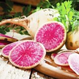 Насіння редьки Ред Квін (Satimex ) 0.5 г - Зображення 2