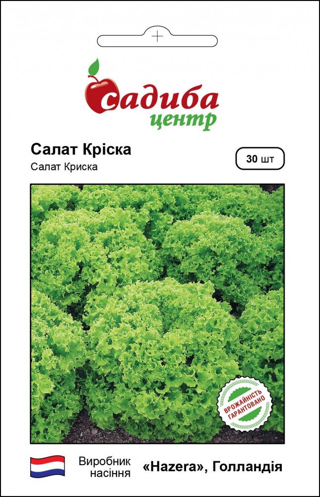 4091840453_salat-kriska-30.jpg Салат Кріска 30 шт,Хазера Україна ТОВ - Зображення 1