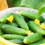 Паризький корнішон, огірок, 10 г. СЦ Традиція україна - Зображення 2