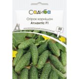 Атлантіс F1 насіння огірка бджолозапильного (Bejo) 50 шт