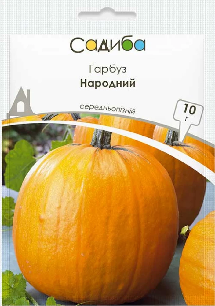 4283468266_narodnij-nasinnya-garbuza.webp Народний насіння гарбуза (Украина) 10 г - Зображення 1