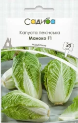 Маноко F1 насіння капусти пекінської (Bejo) 20 шт