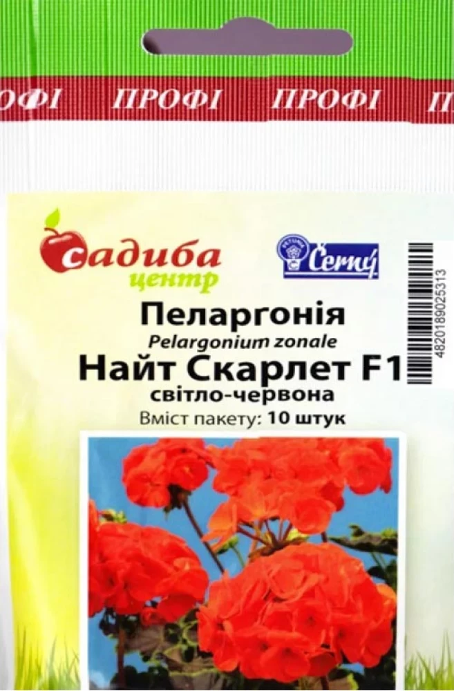 4292455549_pelargoniya-najt-skarlet.webp Пеларгонія Найт Скарлет світло-червона F1 10 шт Černý Seed, Чеська Республіка - Зображення 1