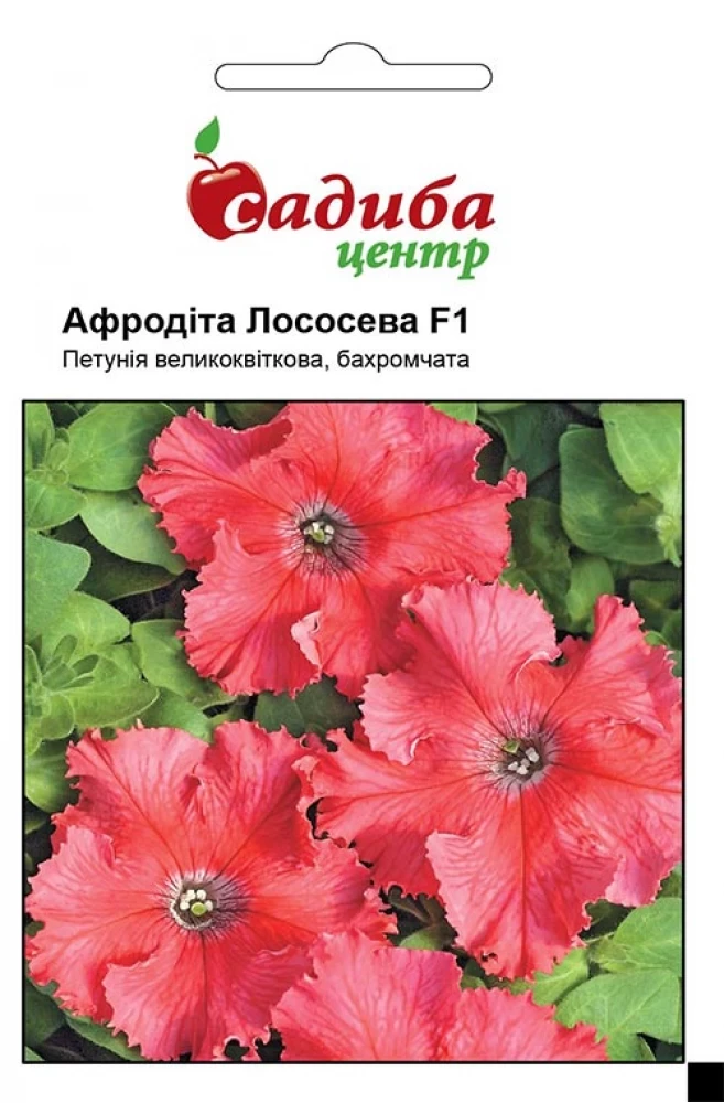 4292560388_petuniya-afrodita-lososeva.webp Петунія Афродіта лососева F1, 10 гранул Černý Seed, Чеська Республіка - Зображення 1