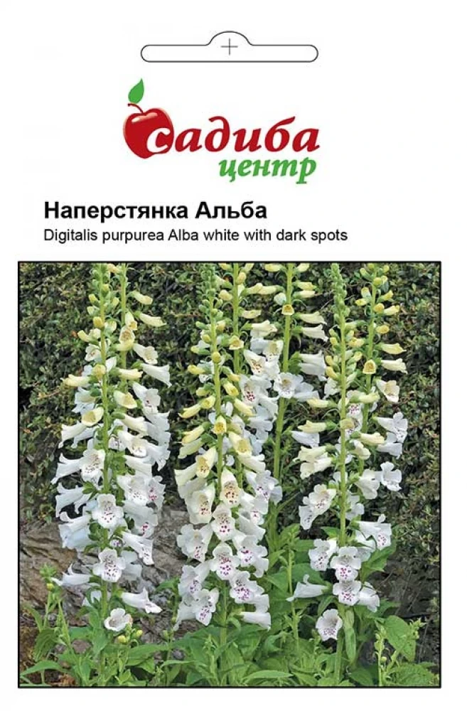 4305601202_naperstyanka-alba-bila.webp Наперстянка Альба біла з пурпуровими смугами 0.2г. Hem Zaden BV, Нідерланди - Зображення 1