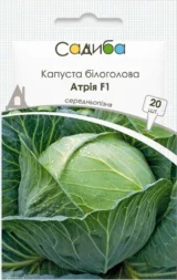 Капуста білоголова Атрія F1,20шт.(Нідерланди)