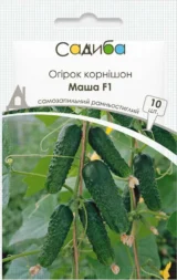 Маша F1 насіння огірка (Seminis) 10 шт(Нідерланди)