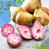 Саджанці груші "Блютберне" (червона м'якоть)