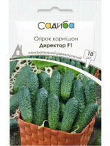 Директор F1 насіння огірка партенокарпічного (Nunhems) 10 шт