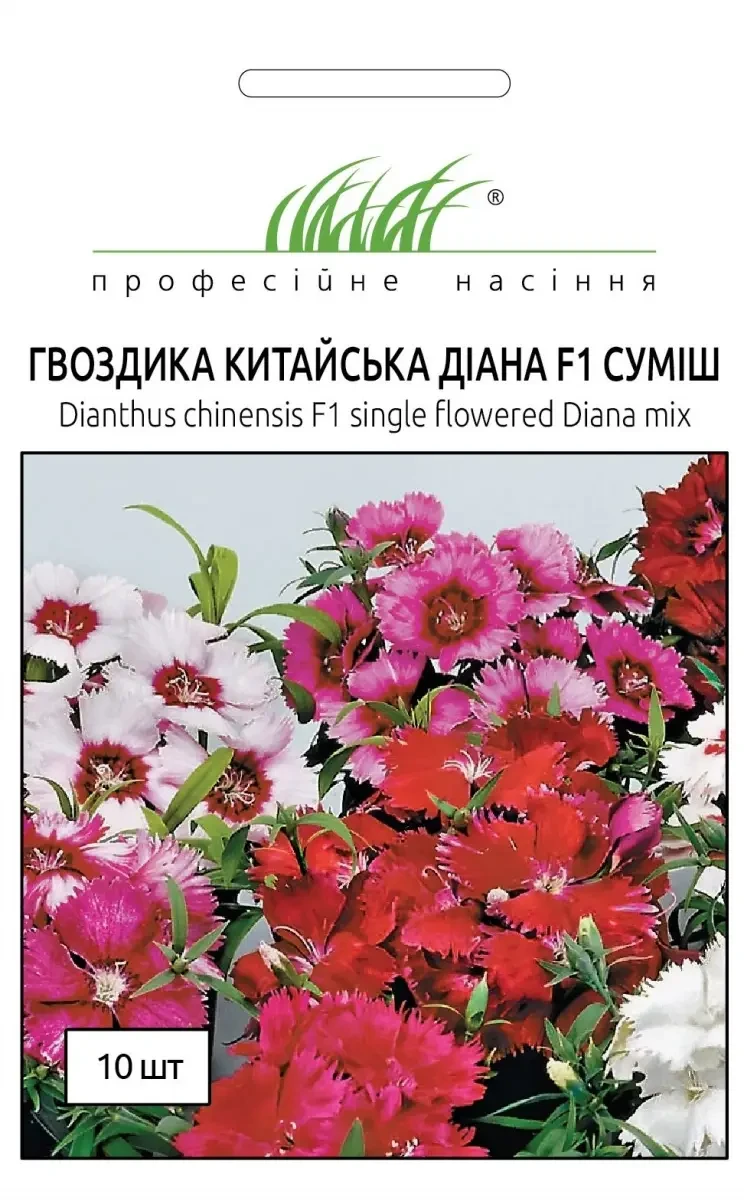 5404186720_gvozdika-kitajska-diana.webp Гвоздика Китайська Діана F1 суміш,10 шт - Зображення 1