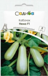 Немо F1 насіння кабачка (Lark Seeds) 5 шт