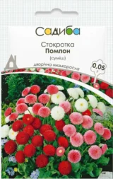 Стокротка Помпон суміш (Hem Zaden) 0.05 г