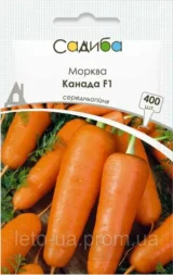 Канада F1 насіння моркви (Bejo) 400 шт