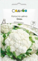 Опал насіння капусти цвітної (Rijk Zwaan) 15 шт