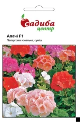 Пеларгонія Апачі F1, суміш (насіння) 5шт.