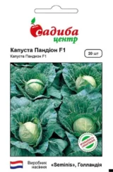 Капуста Білоголова Пандіон F1, 20 шт