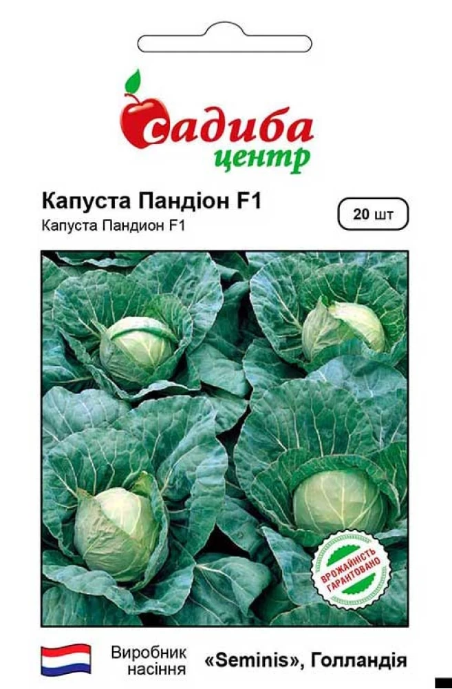 5420168932_kapusta-bilogolova-pandion.webp Капуста Білоголова Пандіон F1, 20 шт - Зображення 1