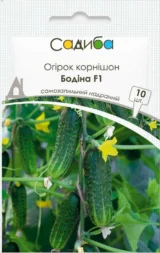 Бодіна F1 насіння огірка  (Satimex) 10 шт