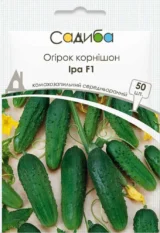 Іра F1 насіння огірка бджолозапильного (Satimex КЛ) 50 шт