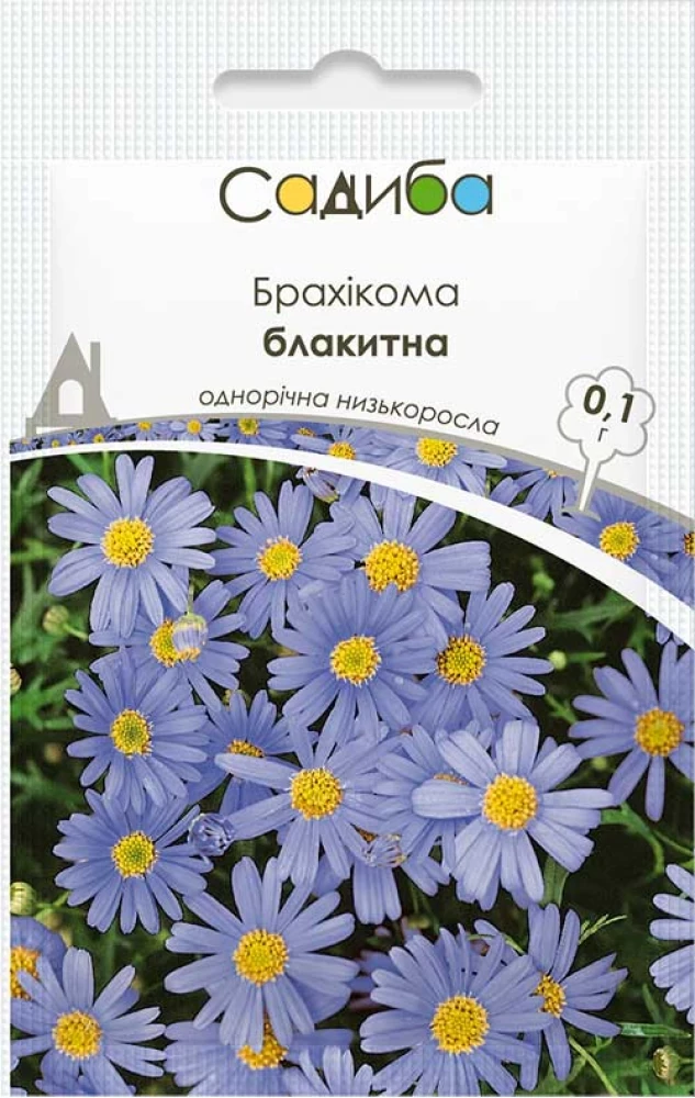 6380351431_brahikoma-blakitna-blakitnij.webp Брахікома блакитна (блакитний вогник) насіння (Hem Zaden) - Зображення 1