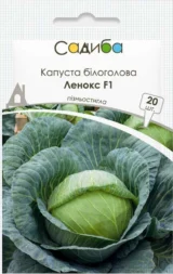 Леннокс F1 насіння капусти білоголової (Bejo) 20 шт