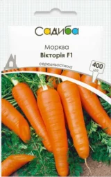 Морква Вікторія F1 (Франція) 400шт