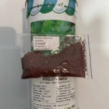 Петрушка листова Коммон, 20 г. (Власне фасування з оригінального упакування), (GSN Semences - Франція). - Зображення 2