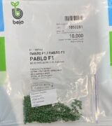 Буряк Пабло F1, 500 шт. (Власне фасування з оригінального упакування), (Bejo Zaden). - Зображення 2