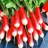 Редис 18 днів, 20 г. (Власне фасування з оригінального упакування).