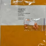 Кабачок Кавілі F1, 10 шт. (Власне фасування з оригінального упакування), (Nunhems). - Зображення 2