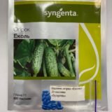 Еколь F1 насіння огірка, 10 шт (Власне фасування з оригінального упакування), (Syngenta). - Зображення 2