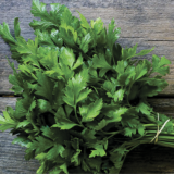 Петрушка листова Італійський гігант, 20 г.(Власне фасування з оригінального упакування),(GSN Semences-Франція).