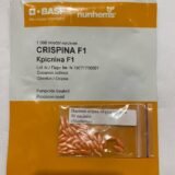 Огірок Кріспіна F1, 50 шт, (Власне фасування з оригінального упакування) - Зображення 2