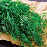 Кріп Алігатор, 50 г. (Власне фасування з оригінального упакування), (Садиба Центр).