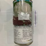 Капуста цвітна Чотири сезони, 2 г. (Власне фасування з оригінального упакування), (GSN - Semences). - Зображення 2