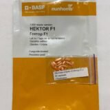 Огірок Гектор F1, 20 шт. (Власне фасування з оригінального упакування), (Nunhems). - Зображення 2