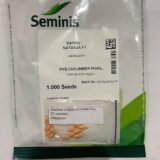 Огірок Наташа F1, 20 шт. (Власне фасування з оригінального упакування), (Seminis). - Зображення 2