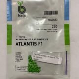 Огірок Атлантіс F1, 20 шт. (Власне фасування з оригінального упакування), (Bejo Zaden). - Зображення 2