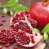 Саджанці гранату вуличного "Ак-Дона" відводок С1