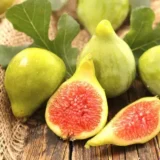 Саджанці інжиру "Медовий" (0,5-0,7 м)