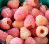 Малина "Дабл Голд" (ремонтантна)