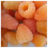 Малина "Валентина" (ремонтантна)