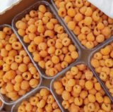 Малина "Анна" (ремонтантна)