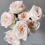 Троянда на штамбі   "Вайт Охара" (White O’Hara) - Зображення 2