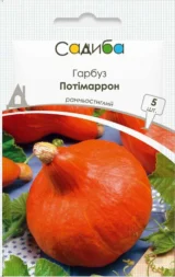Потімаррон насіння гарбуза (Servise plus (GSN) 5 шт