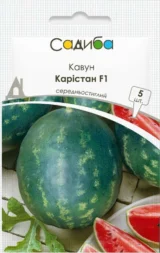 Кавун Карістан F1 5 шт. (Syngenta) (Нідерланди)