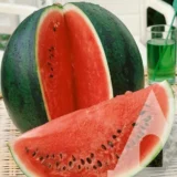 Кавун Ремія F1, 5 шт (GSN-Semences, Франція) - Зображення 2