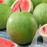 Кавун Грей Белл, 10 г (GSN-Semences, Франція) - Зображення 2